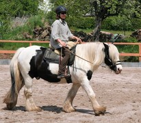 2009 cr 001 mai