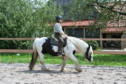 2009 cr 001 mai