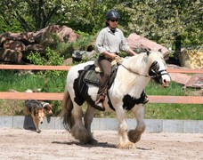 2009 cr 001 mai