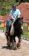 2009 cr 001 mai