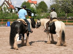 2009 cr 001 mai