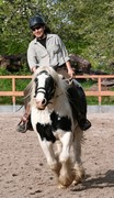 2009 cr 001 mai
