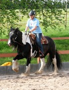 2009 cr 001 mai