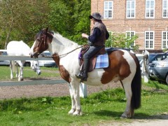 2010 waabs mai 001