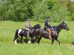 2010 waabs mai 001