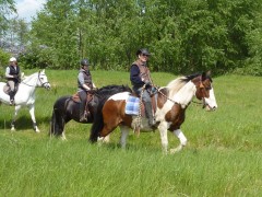 2010 waabs mai 001