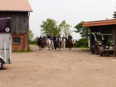 2010 waabs mai 001