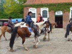 2010 waabs mai 001