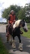 2011 026 schmieh juni