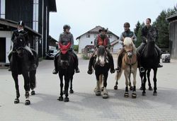 2012 002 schmieh juni