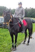 2012 001 schmieh juni