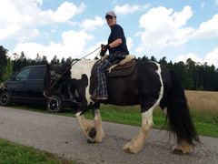 2018 schmieh 001