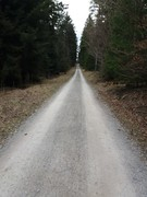 2021 umzug 023 copy