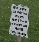 2021 umzug 032 2