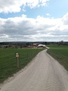 2021 umzug 036 copy