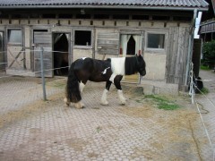 juni2005 011