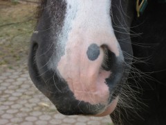 juni2005 015
