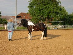 juni2005 011