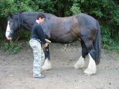 lanzelott 001