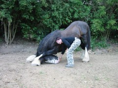 lanzelott 046