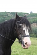shireriding 08 2006 001