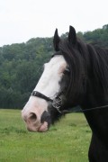 shireriding 08 2006 001