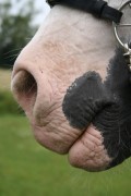 shireriding 08 2006 001