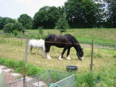 lance 10 06 2007 01
