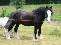 lance 10 06 2007 03