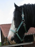 lance 10 06 2007 01
