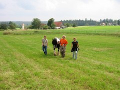 08 2007 001