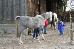 märz2008 018