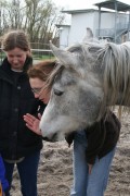 märz2008 018
