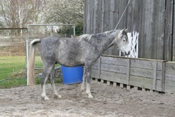 märz2008 018