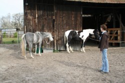 märz2008 026