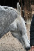 märz2008 018