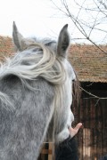 märz2008 018