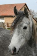 märz2008 018