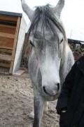 märz2008 018