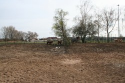 märz2008 018
