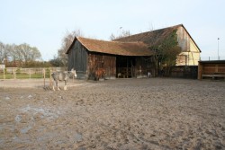 märz2008 018