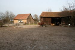 märz2008 018