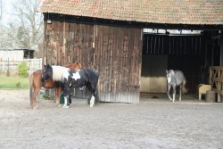 märz2008 018