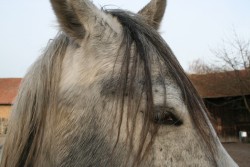 märz2008 018