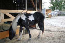 märz2008 018
