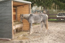 märz2008 018