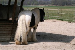 img 0247