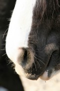 img 0247