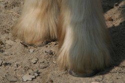 img 0247