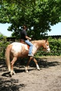 mühlhausen17 05 09 047